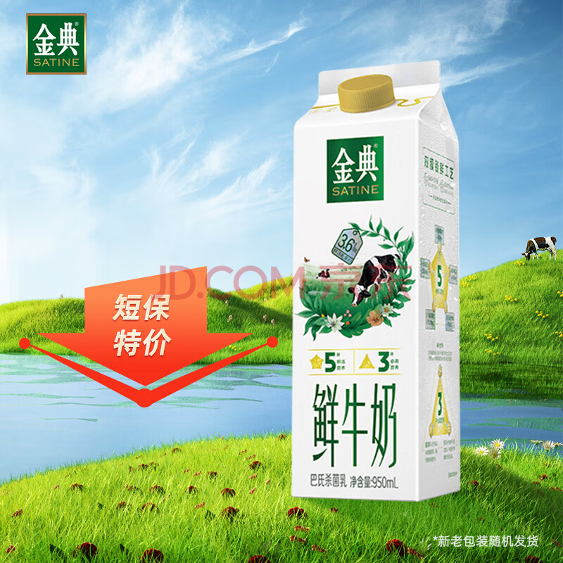 伊利金典 高品质鲜牛奶 950ml 巴 氏杀菌鲜奶【短保活动】