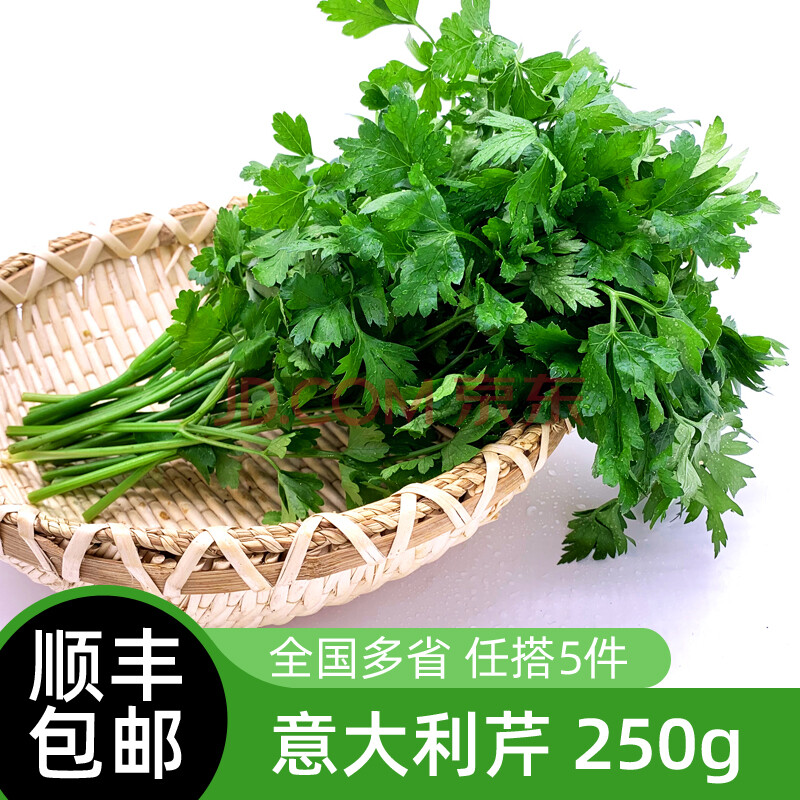 新鲜意大利芹250g 欧芹香芹法国香菜 巴西里香料 西餐