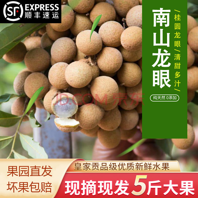 骄瑰 顺丰直达深圳南山储良龙眼石硖龙眼当季新鲜水果广东特产5斤礼盒