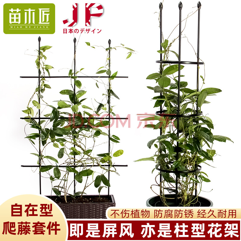 花盆阳台铁线莲攀爬架藤本植物花架园艺花架绿萝爬藤架支撑支架 1