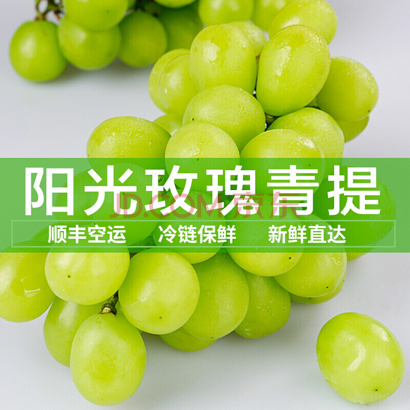 晴王葡萄阳光玫瑰香印青提无籽新鲜水果生鲜 3斤装