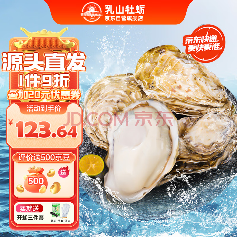 乳山牡蛎【源头直发】鲜活乳山生蚝3XL号 中秋送礼礼盒 净重5kg 28-35只