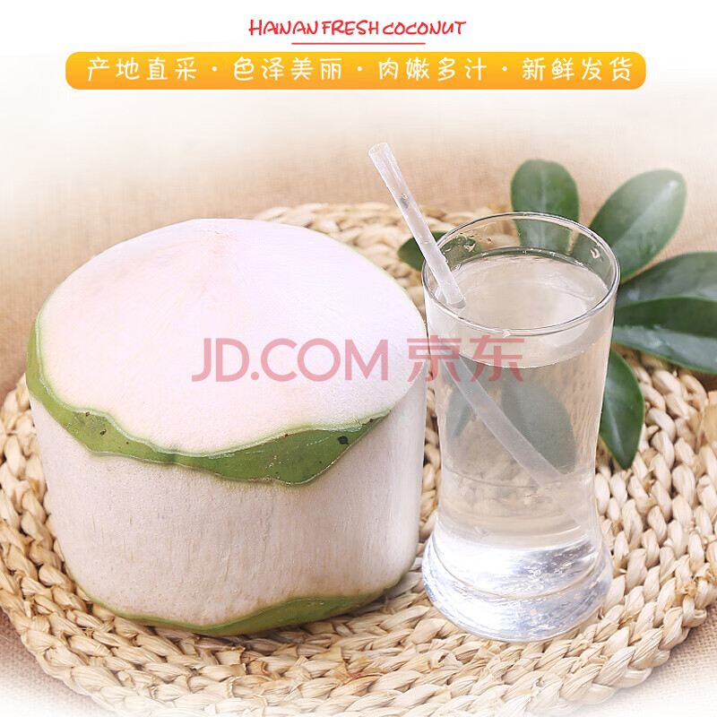 【顺丰速发】 海南椰青 海南椰子当季新鲜椰子新鲜孕妇水果香水椰青9