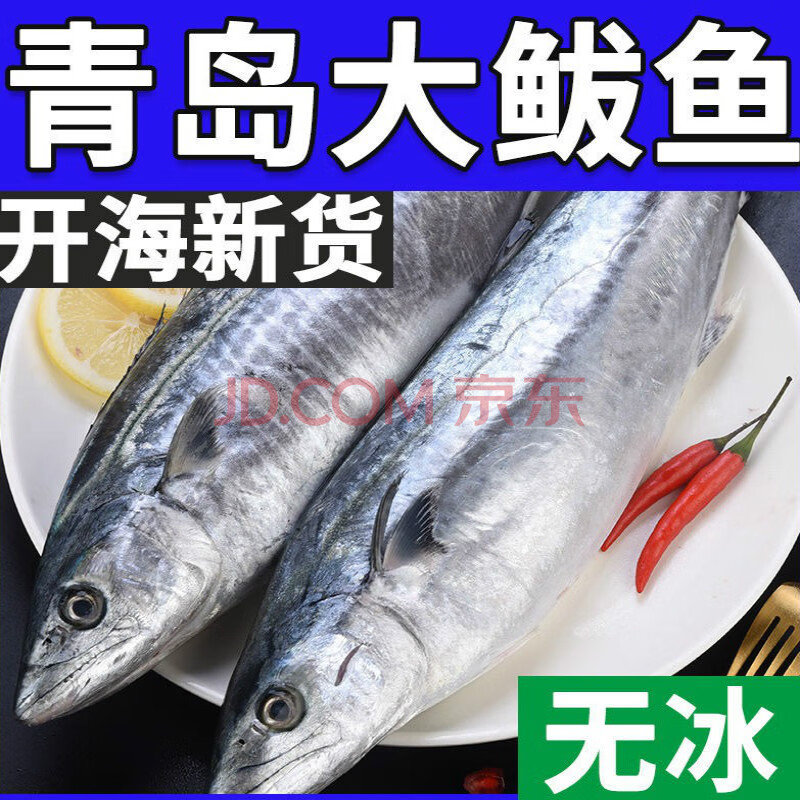青岛大鲅鱼新鲜冷冻海捕蓝点马鲛鱼整条燕鲅鱼海鱼海鲜批发 5斤特大号