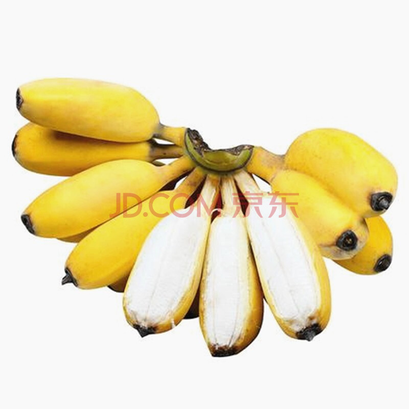 三世橙媛 广西小米蕉5斤/10斤装小香蕉banana新鲜应季