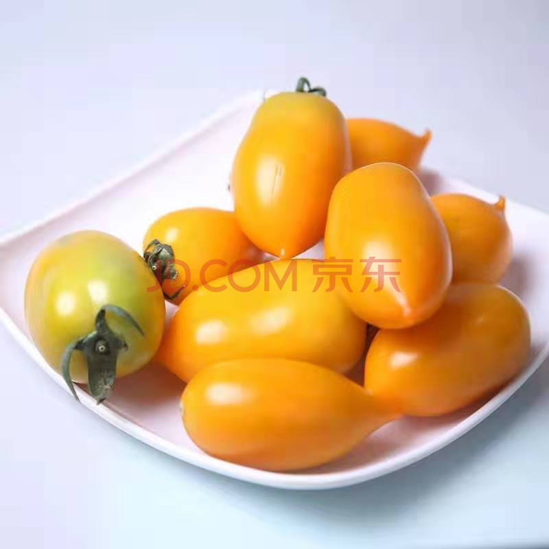 吉林黑土地黄柿子 水果柿子 东北特产柿子 陆地黄柿子