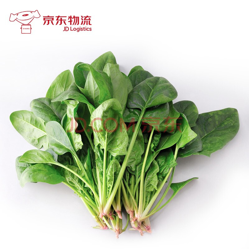 新鲜小菠菜 赤根菠菜大叶蔬菜青菜农家自种 500g