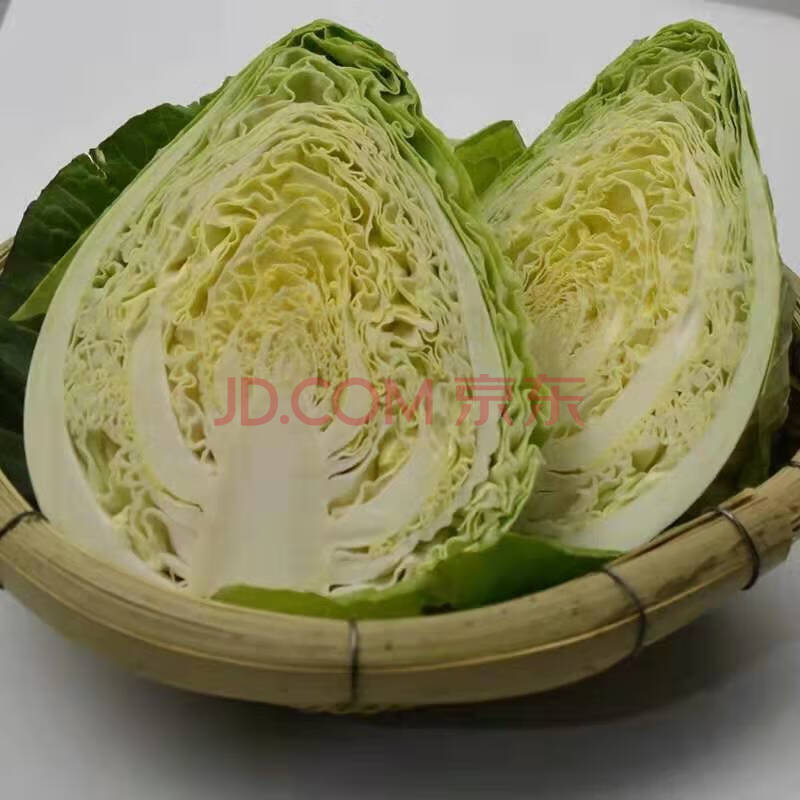 玢菓萱 新鲜上市四川农家自种牛心莲花白新鲜手撕尖尖莲花白卷心菜绿