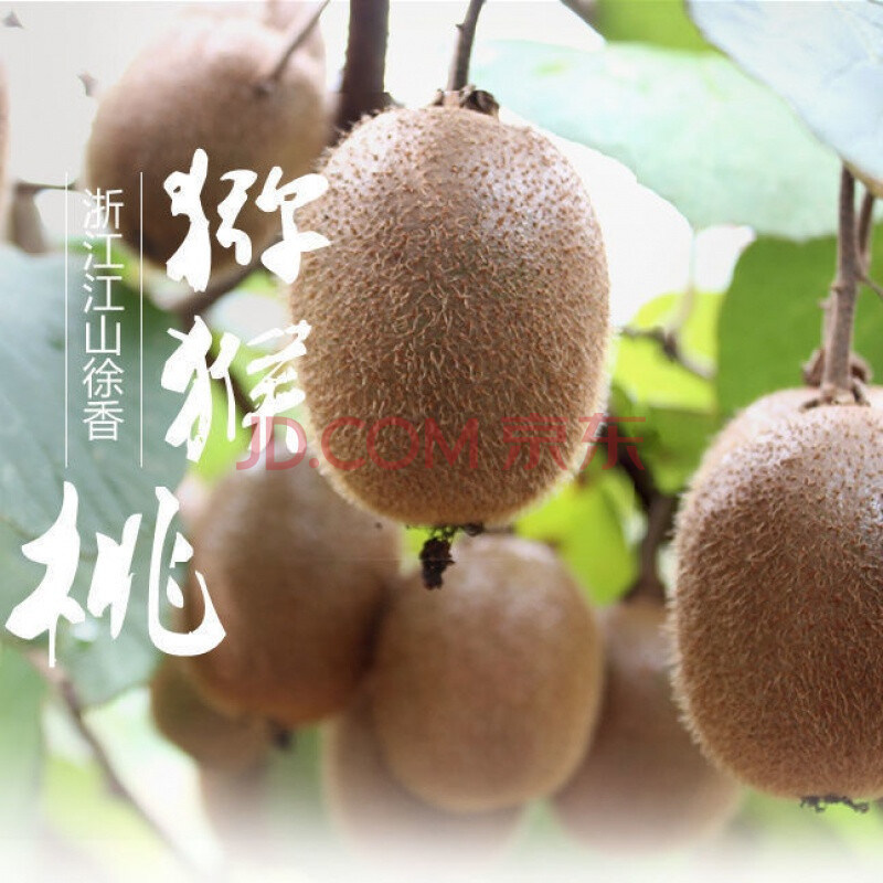 正宗江山徐香猕猴桃奇异果当季孕妇小孩水果猕猴桃批发 2.5公斤