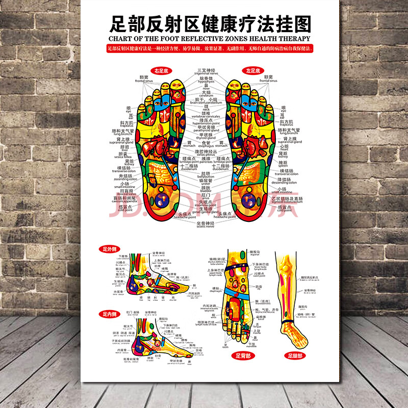 足部反射区健康疗法挂图-15 80x120(厘米)=48寸尺寸 pp(撕开即贴