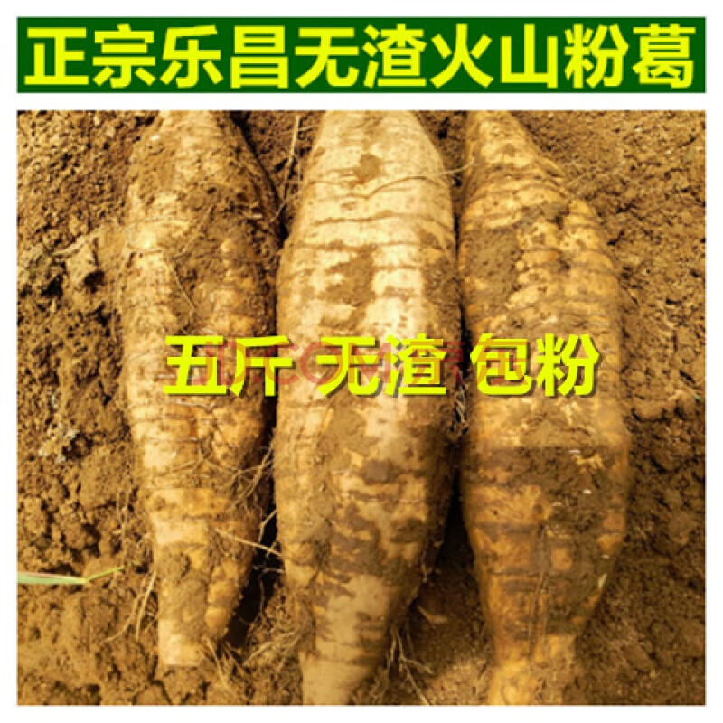 乐昌无渣火山粉葛葛根甘葛葛藤葛薯 新鲜绿色蔬菜煲汤料韶关特产 2500