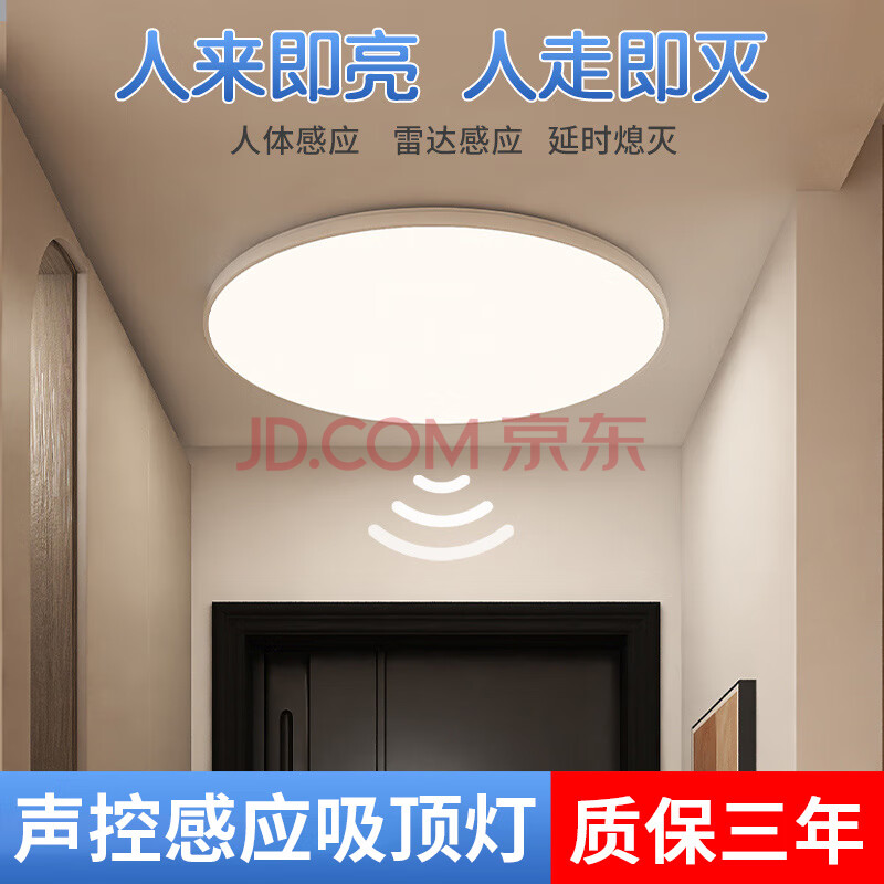 梵耀 雷达感应灯 超薄三防吸顶式安装灯 楼梯过道楼道走廊灯智能灯 24W-雷达感应