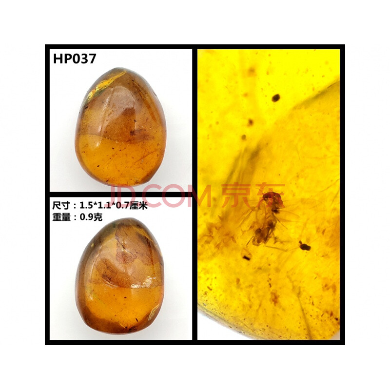 缅甸虫珀植物珀原石水胆昆虫琥珀特色珀琥珀标本科普教学 杏色 hp037