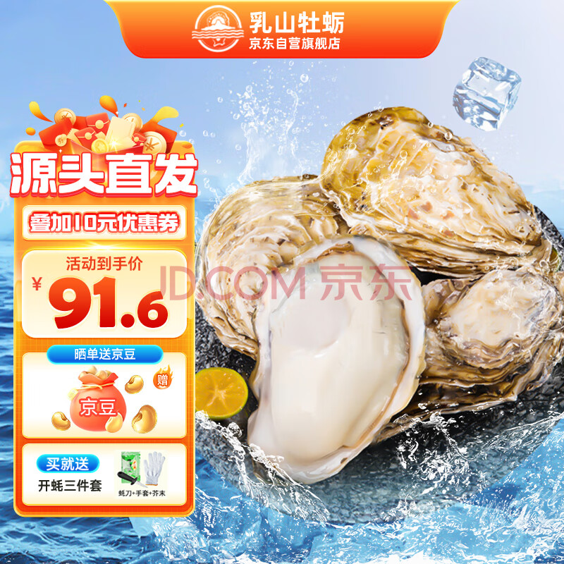 乳山牡蛎【源头直发】鲜活乳山生蚝4XL号 海鲜烧烤食材 净重2.5kg 8-15只 