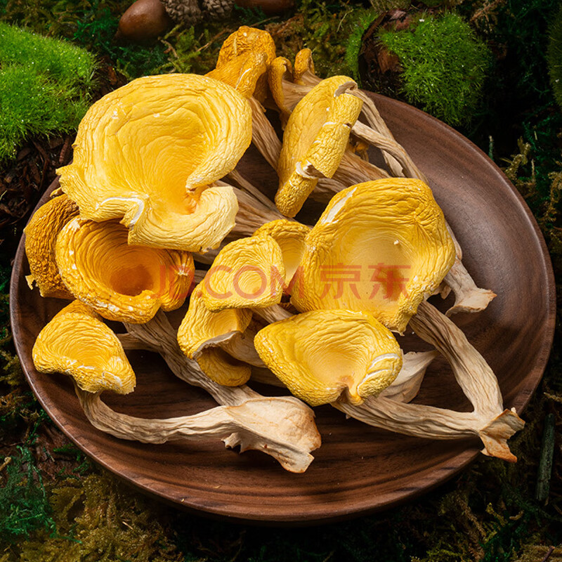 西云珍坊云南虫草花菌菇南北干货火锅食材北金蛹虫草菇煲汤 鸡油菌50g