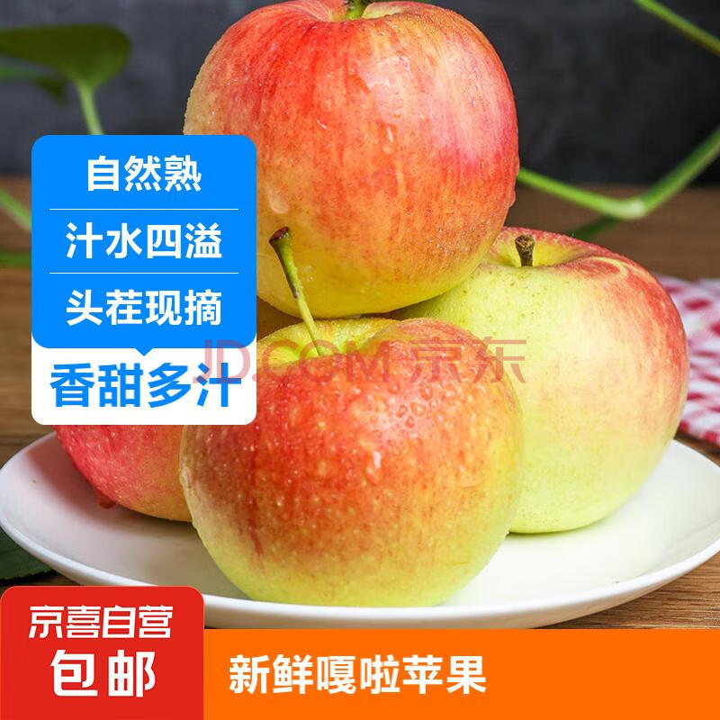 嘎啦苹果 当季新鲜水果苹果整箱 酸甜爽口 【40%的用户选择】带箱9-10斤