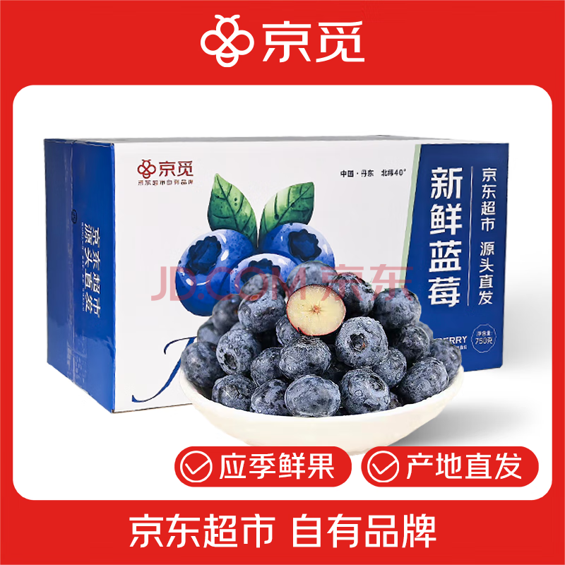 京觅 丹东蓝莓  6盒装125g/盒 果径18mm+ 生鲜水果  源头直发 