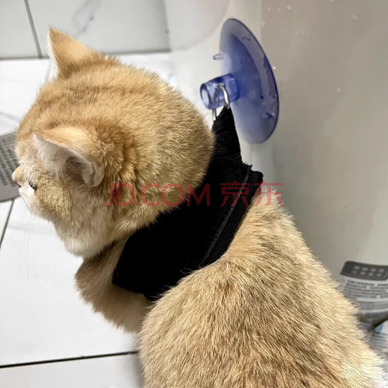 派乐特猫咪洗澡固定器宠物神器狗狗防跑防抓咬幼小猫剪指甲保定包1个装