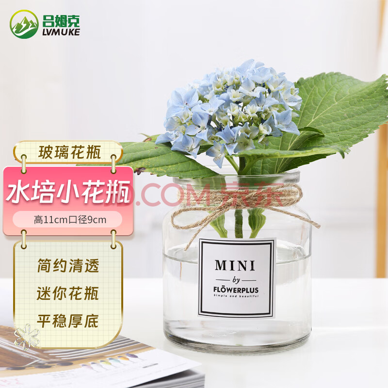吕姆克花瓶玻璃插花摆件仿真花水培水养植物容器绿萝透明玻璃小花瓶5296