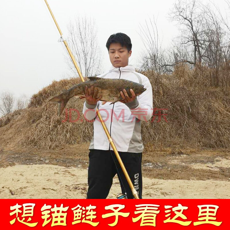钓之界 锚杆锚鱼竿超硬远投杆全套专用耙子巨物竿超轻