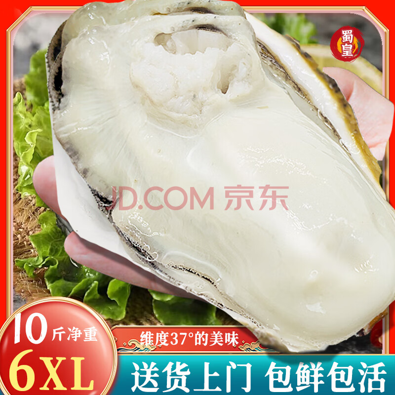 蜀皇 乳山生蚝鲜活特大海蛎子10斤净重蚝王(14-18)只源头直发包 邮 