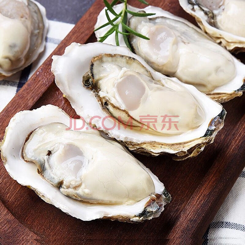 SOXW现捕捞 乳山生蚝  XXXL  鲜活 牡蛎 带壳2.5斤 生鲜 海鲜海蛎子 严选乳山生蚝 单个2-3 两