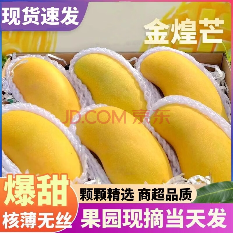 元珍鲜诚 海南金煌芒 新鲜水果 热带大青 芒果 孕妇整箱现摘当季水果 5斤（净重4.5斤） 单果200g+