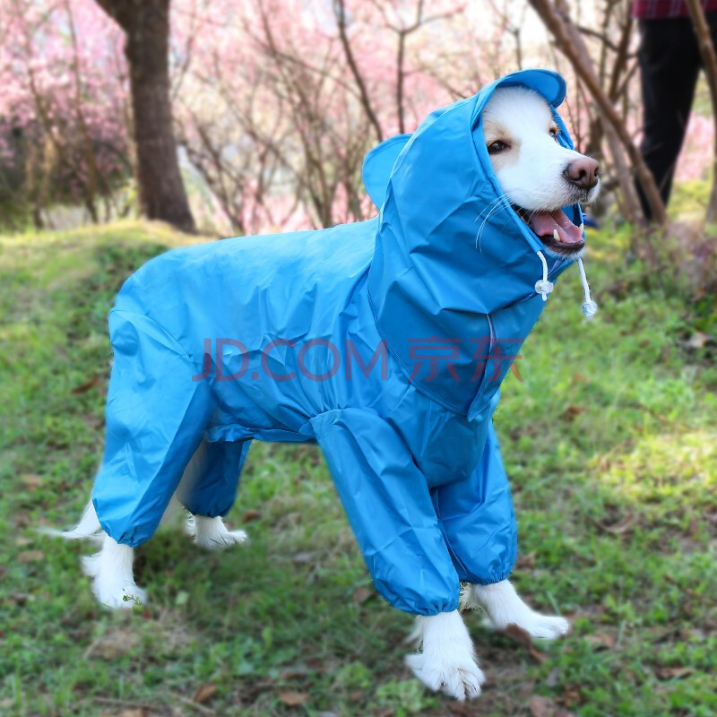 四脚宠物狗衣服金毛萨摩大狗雨衣泰迪柯基比熊中小型犬狗狗雨衣 蓝色