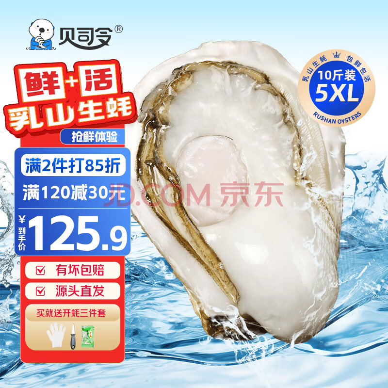 贝司令【源头直发】鲜活乳山生蚝牡蛎贝类烧烤5XL号净重10斤 16-20只装