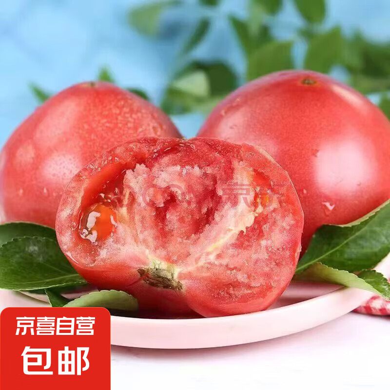 山东大红番茄西红柿农家自种新鲜水果生吃沙瓤番茄应季蔬菜自然熟 沙瓤番茄 2斤