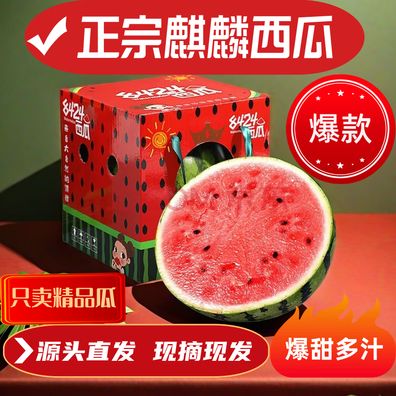 春福乐【源头直发】正宗麒麟西瓜脆甜多汁新鲜水果整箱 净重8-9斤一个瓜+多层防护