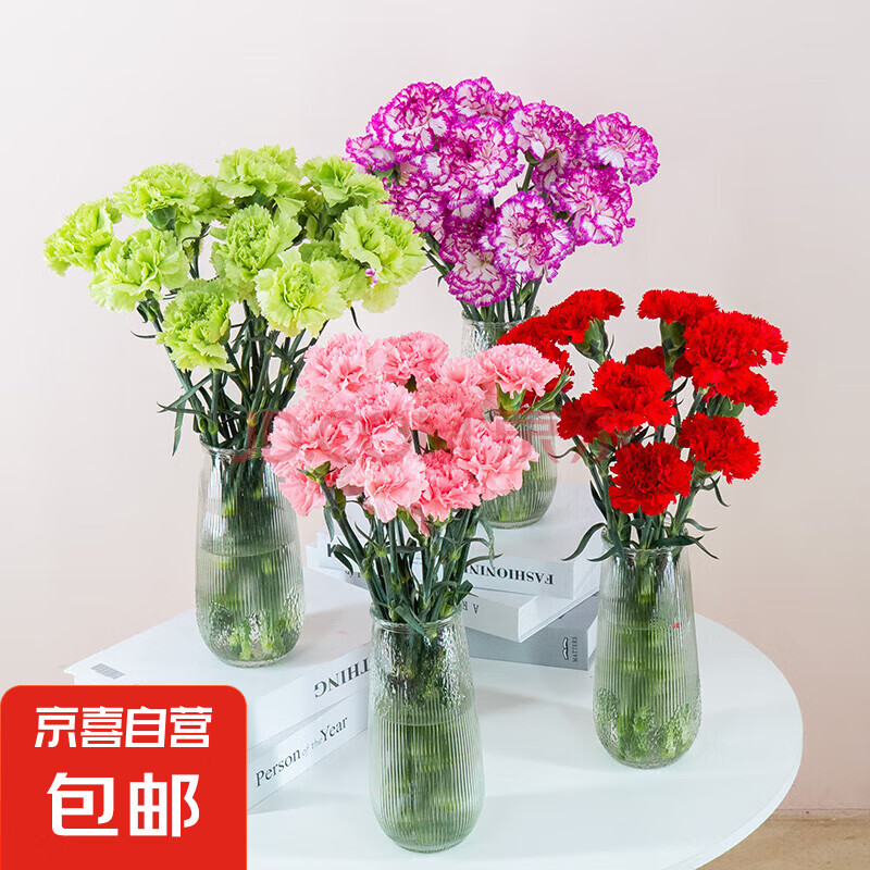 康乃馨鲜切花云南鲜花直发家用水养插花母亲节三八节花束5 随机单色康乃馨10枝