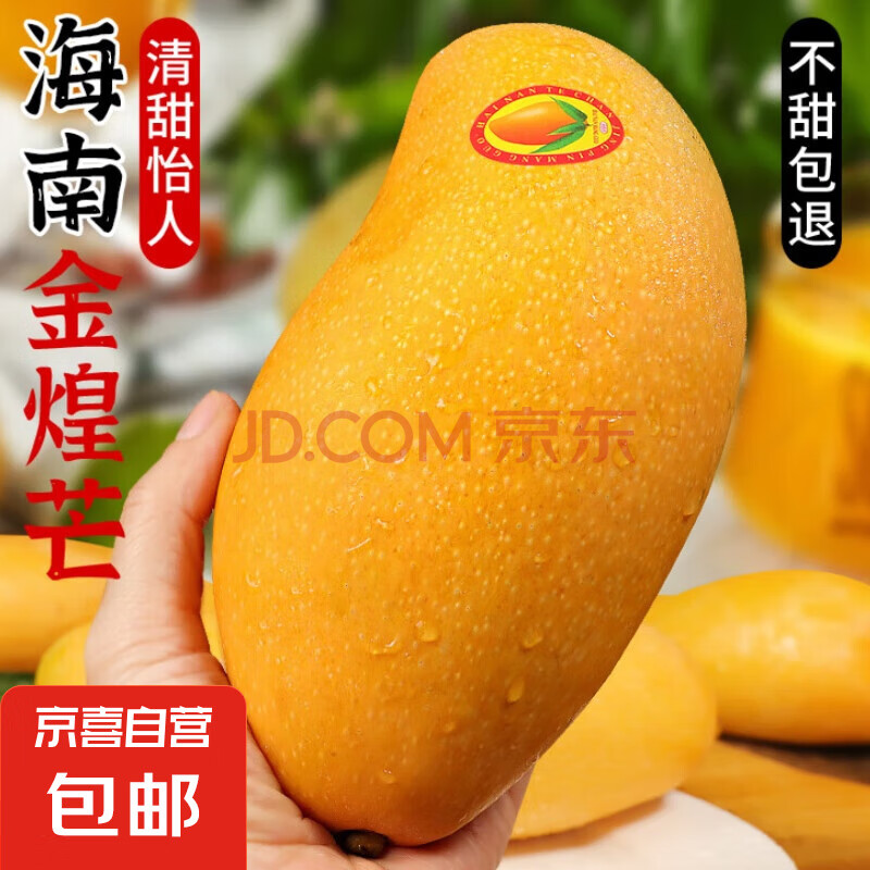 金煌芒果 海南新鲜水果 带箱5斤 中大果【单果200-300g】