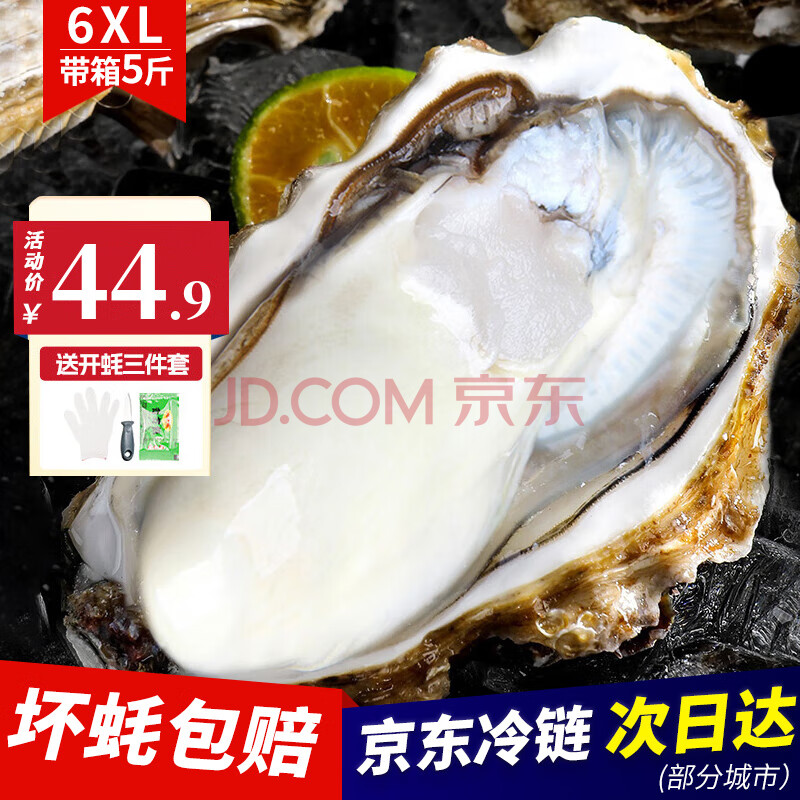 永鲜悦【黑标甄选】乳山生蚝鲜活特大贝类牡蛎火锅烧烤食材带箱5-10斤 【精品】6XL/带箱5斤（约6-7只）