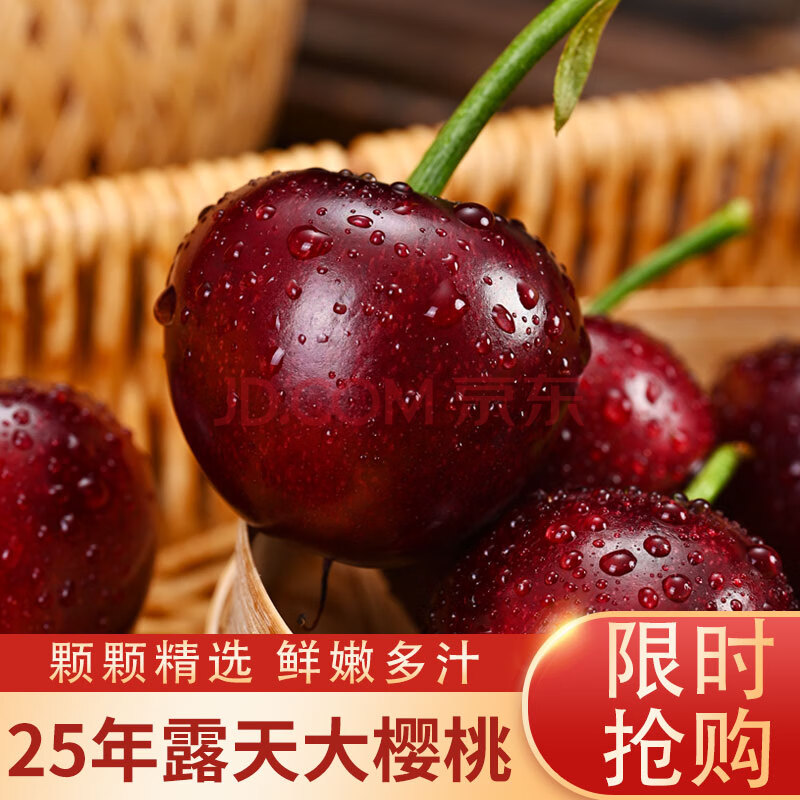 鲁道鲜山东大樱桃 生鲜水果 源头直发 4.5斤(净重)  J级带箱5斤