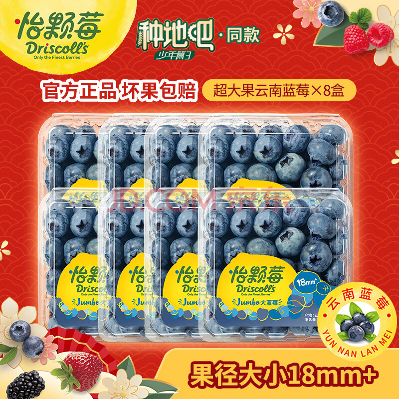 怡颗莓【爆浆好果】蓝莓云南当季 新鲜蓝莓 生鲜水果 送礼 蓝莓超大果125g*8盒（18mm+）