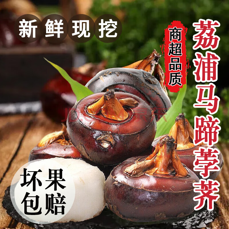 甄仙缘广西荔浦正宗马蹄 农家自种现挖脆甜地梨地栗 荸荠生鲜新鲜蔬菜 净重3斤特大果【每斤约9-15个】