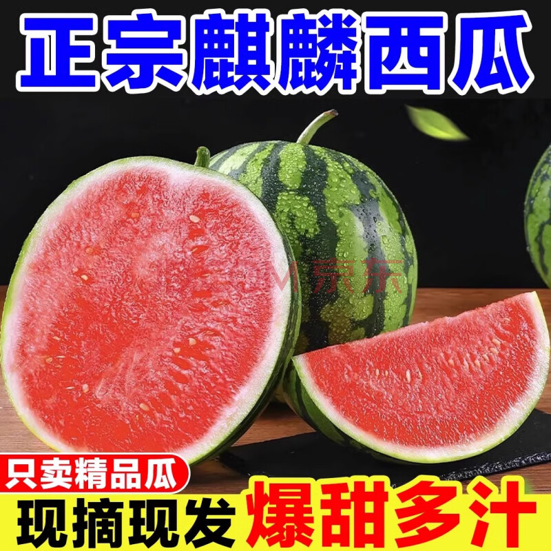 春福乐正宗麒麟西瓜新鲜水果当季现摘8424美都西瓜脆甜多汁无籽有籽整箱 净重5-6斤【甜瓜精选装】