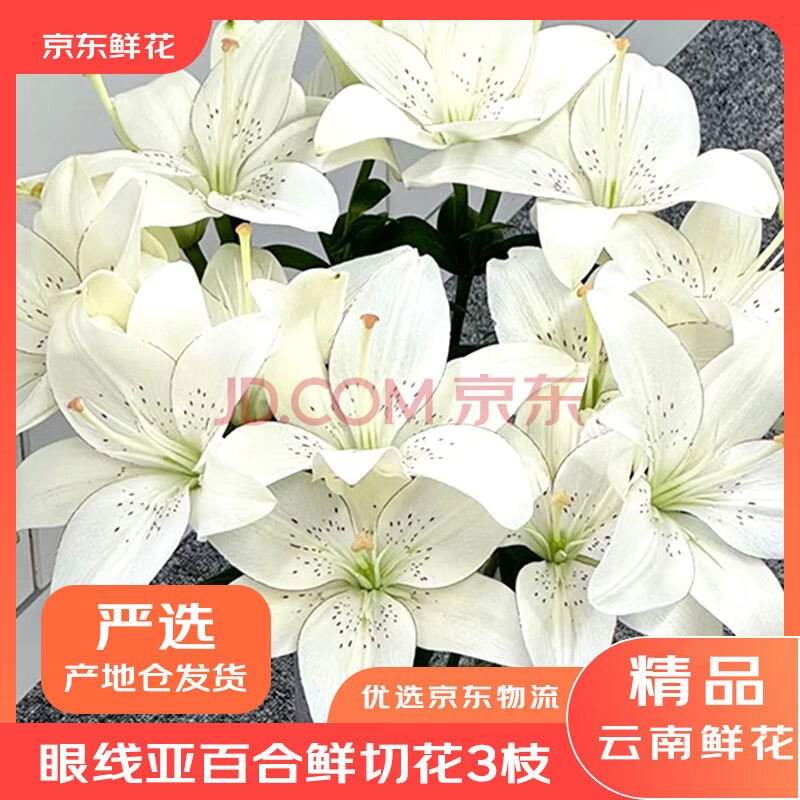 京东鲜花【产地仓严选】昆明百合鲜切花眼线亚百合3头3枝源头直发