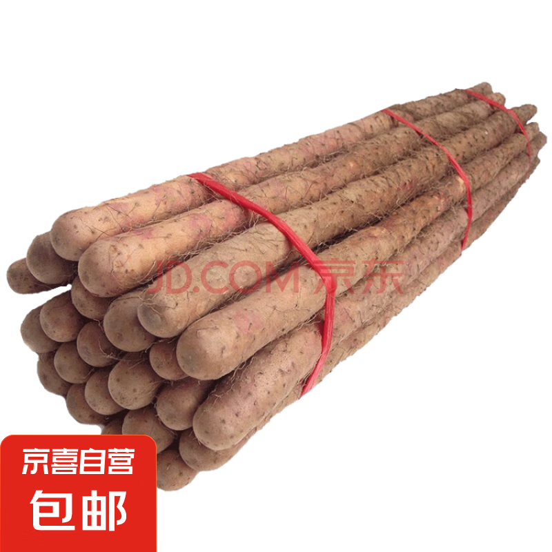 鲜铁棍山药 沙土铁杆淮山药 河南焦作怀府特产铁棍怀山药 新鲜铁棍山药5斤40-60cm