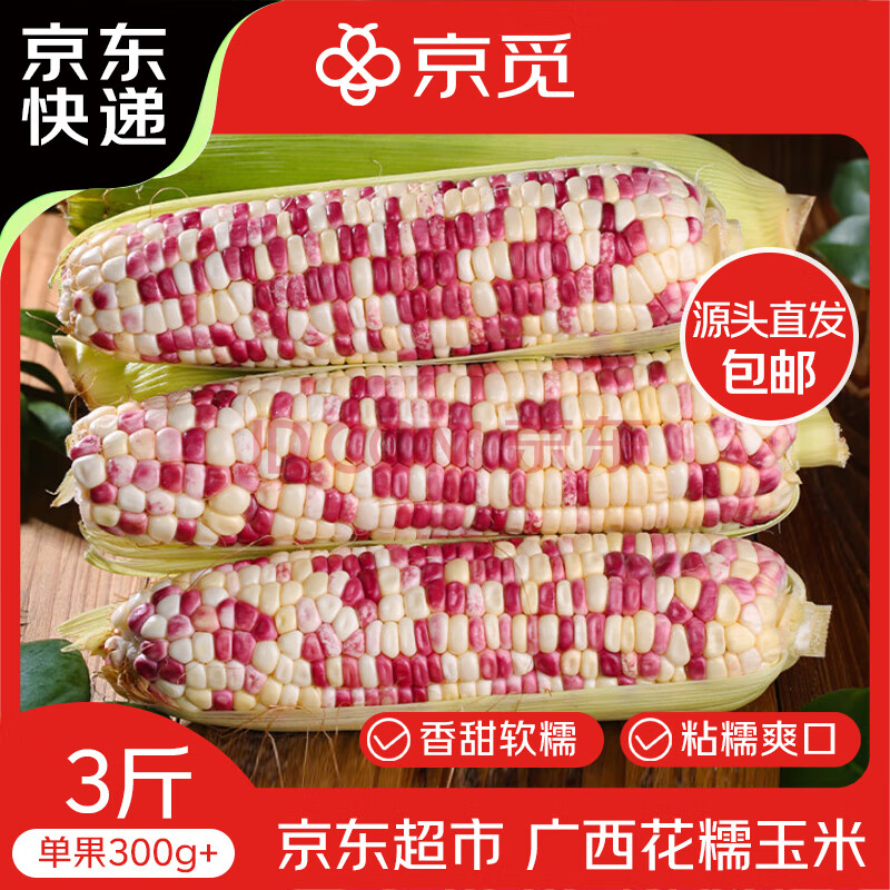 京觅甜糯玉米净重3斤 5-6根单果300g+ 新鲜现摘糯米玉米粗粮 源头直发