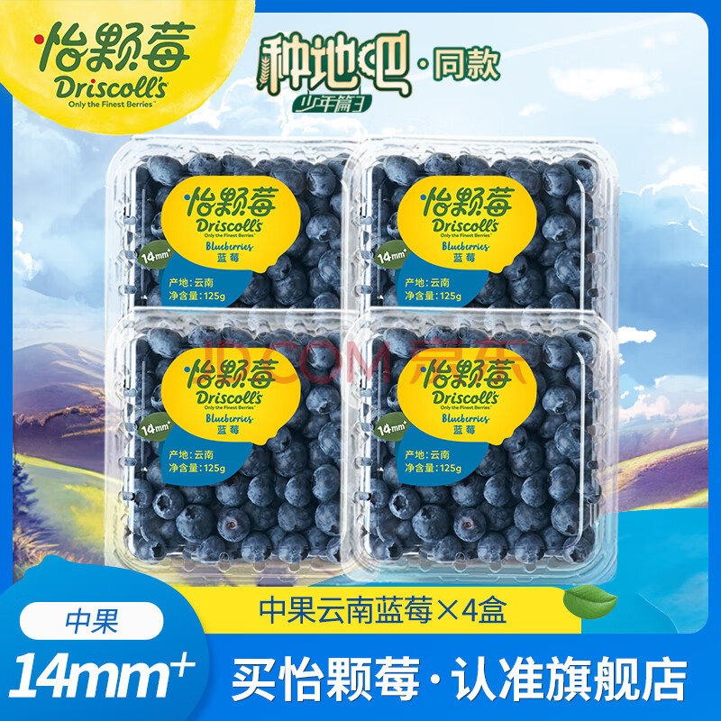 怡颗莓【颗颗饱满】当季云南蓝莓 国产蓝莓 送礼 新鲜水果 年货节送礼 云南当季125g*4盒（14-18mm）