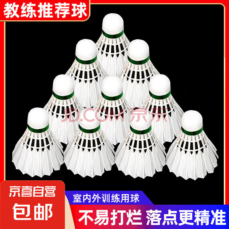 羽毛球正品白羽耐打白色比赛防风训练用球室内室外专业 【家庭款】白羽无标-12只装 1筒