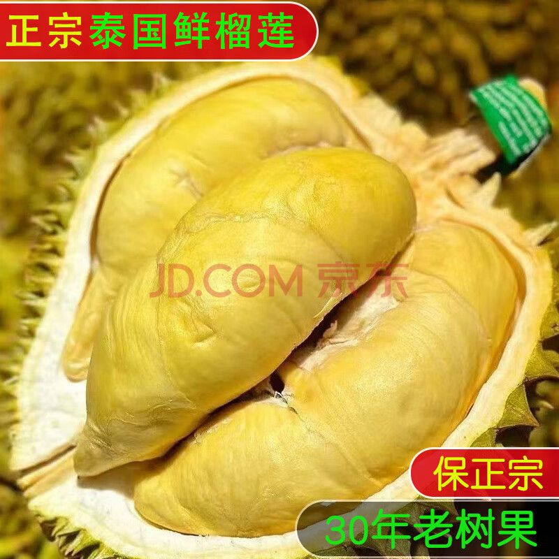 果尽欢正宗泰国新鲜榴莲整箱带壳 【巴掌榴莲】生切不售后 8-10斤（2-4个果）