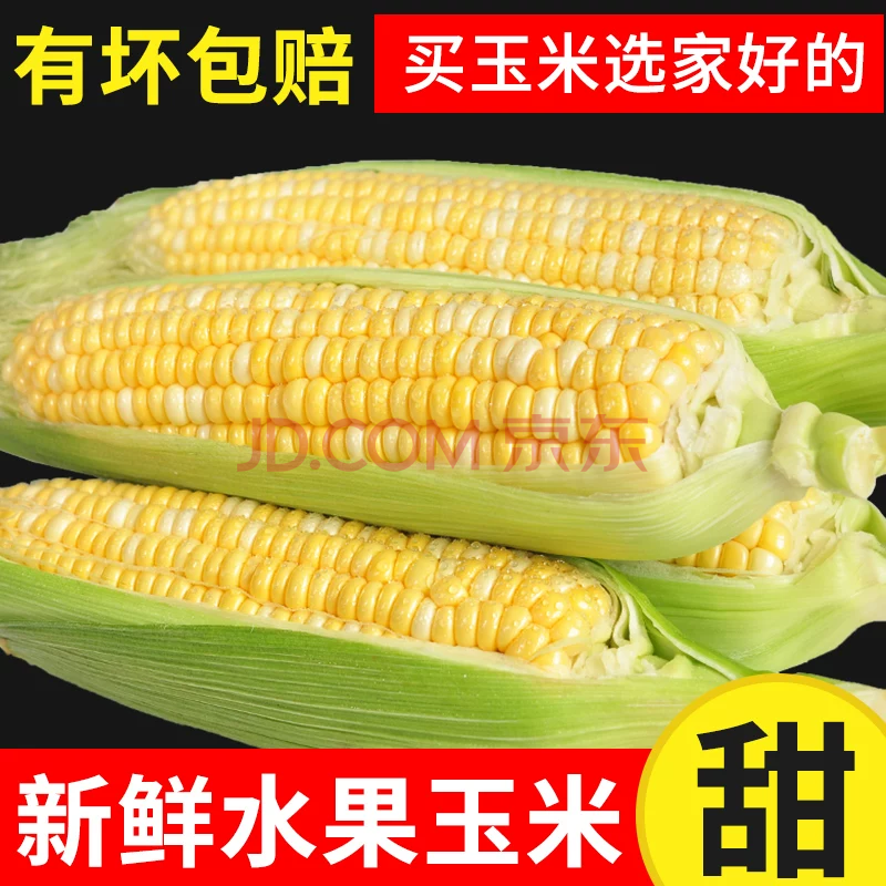 牛爱田 云南新鲜水果甜玉米头茬现摘金银玉米新鲜玉米现摘带皮发货 4.5-5斤 超值装 自有农场