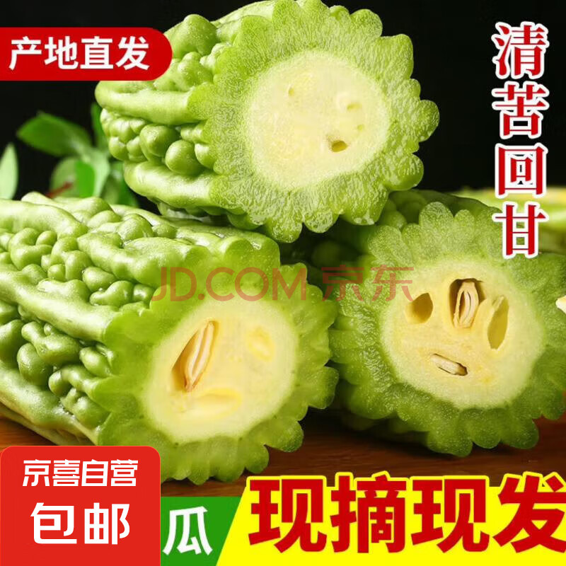 新鲜现摘绿色苦瓜当季凉瓜清脆爽口清热降火新鲜蔬菜生鲜 山东新鲜苦瓜 2斤 带箱