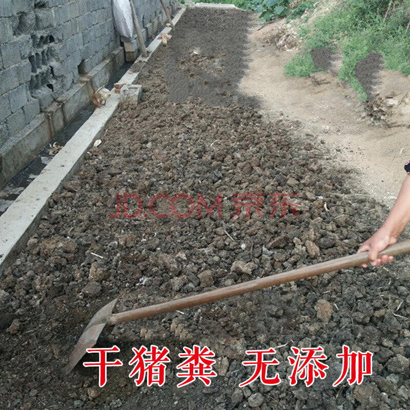 雪沫 桂花肥干猪粪猪屎粪花肥蔬菜肥料兰花肥草木灰鱼塘黑淤泥5斤农资