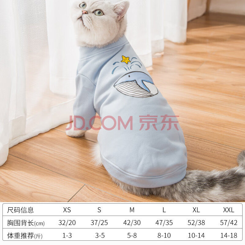 猫咪衣服秋冬装加厚保暖网红潮牌可爱小猫衣服幼猫橘猫宠物猫衣服