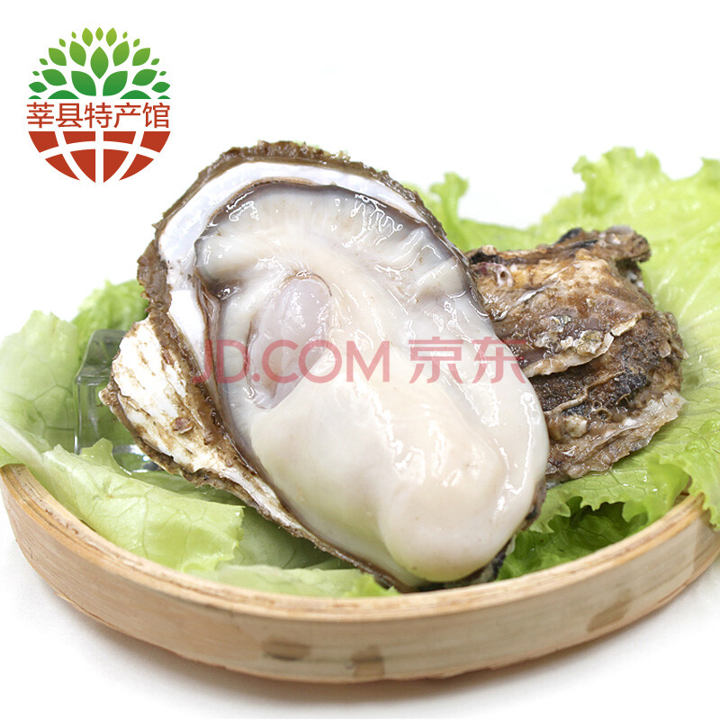 ¡¾Ý·Ïعݡ¿Èéɽĵòà ÏÊ»îÉúòºº£òÃ×Ó 5kgС L(70g(º¬)-90g(²»º¬)
