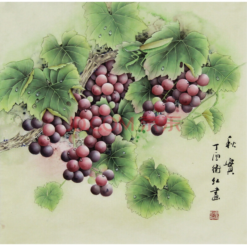 工笔葡萄